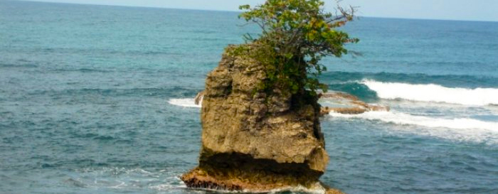 Gandoca Manzanillo 